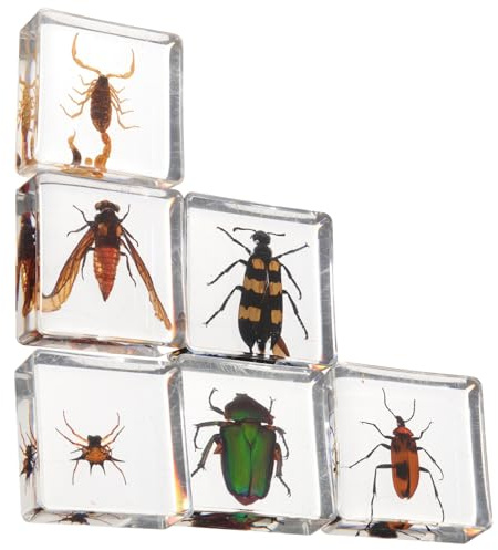 BESPORTBLE Lot de 6 Presse-Papiers en Résine Insectes Décoratifs Collection D’Animaux Miniatures Décoration de Bureau et Intérieur Œuvres D’Art en Résine Délicates Style Aléatoire