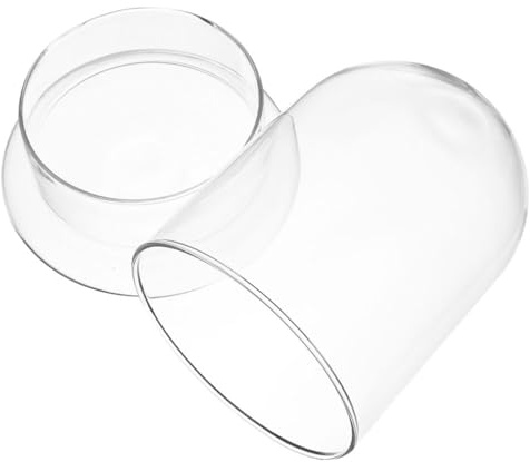 HEANUJJ Support pour Plantes Succulentes Terrarium en Verre, Cloche Transparente de Dôme, Accessoire Décoratif pour Bureau et Jardin Intérieur