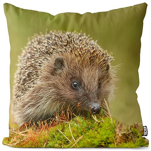 VOID Igel Moos Wald Tier Kissenbezug Kissenhülle Polyester Dekoration Ostern Deko-Kissen Outdoor Garten, Kissen Größe:40 x 40 cm