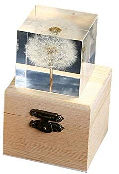 Beruyu 3D Pusteblume Gänseblümchen Würfel Kristall Glas Dekoration Ornament unsterbliche Blume Glas Briefbeschwerer mit Holz Geschenkbox (Löwenzahn)