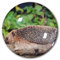 Kühlschrankmagnet, Igel, dekorativer Magnet, Reise-Souvenir, Kristallglas