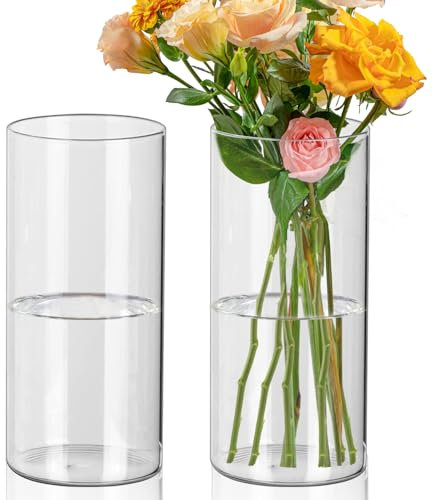 Fizdoqg 2 Piezas Jarrón Cilindrico Cristal 20cm Jarrón Cristal Cilindrico, Cilindro de Cristal para Velas, Jarrones Cilindricos de Vidrio para Modernos Decoración de Mesa