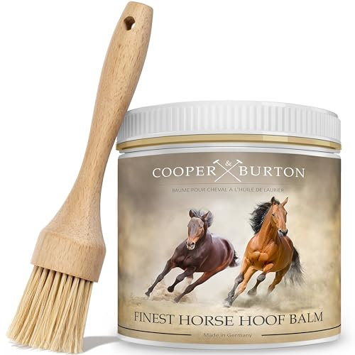 COOPER & BURTON Hufbalsam für Pferde | Hufpflege mit natürlichen Ölen für gesunde Hufe 500ml + Pinsel | Fördert Hufwachstum & schützt vor Rissen | Intensive Feuchtigkeit für Pferdehufe