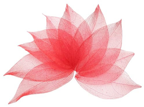 QUARKZMAN 100 Stück Rote Skelettblätter, 2- 3 Gummibaum Scrapbooking Getrocknete Gepresste Blätter Adern für Fotoalben Basteln Hochzeitskarten Arrangements Dekor Geschenke