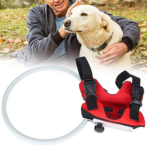 Blind Pet Anti-Kollisionsring, Pet Anti-Kollisionsring Verstellbarer Halo-Gurt für Blinde Hunde Katarakt-Schutzkreis für kleine sehbehinderte Hunde im Freien(MYFZ02)