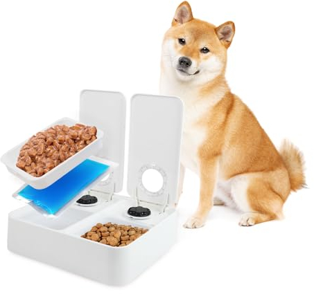 ALL FOR PAWS Automatischer Katzenfutterspender 2 Mahlzeit Hundefutterspender mit Eisbeutel, Für Trocken- und Nassfutter geeignet mit 48-Stunden-Timer, Spülmaschinenfest, (2-Mahlzeiten)