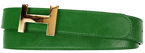 Zakatte • Damen Gürtel aus Kunstleder mit H-Schnalle Hüftgürtel Taillengürtel Damengürtel BS058 (Grün-Gold, 105 cm)