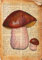 Bunte Vintage-Buchdrucke Pilz Botanisches Poster Wörterbuch Kunstdruck Leinwand Malerei Shrooms Poster Wand Kunst Home Decor A3 30X40Cm Kein Rahmen