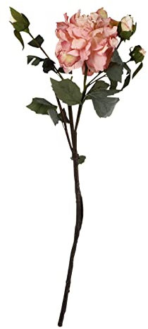 Cabilock Künstliches Pfingstrosen-blumenarrangement Kunstblumen Aus Seide Pflegeleicht Perfekt Für Mama Oder Als