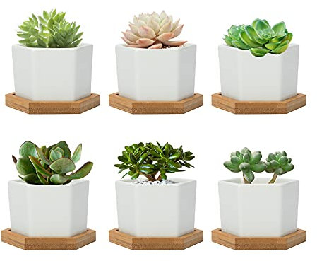 FORAGIFT 7CM Succulent Plant Pots, Simple Design Hexagon Small Flower Pot, White Ceramic Cactus Pots with Bamboo Tray and Drainage Hole, Great for Home Office Decor, Set of 6 (Plants Not Included)