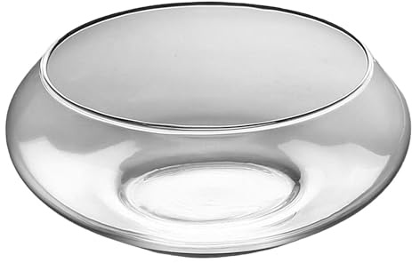 Wide Planter Clear Glass Decorative Vase | 25cm Bowl Planters for Outdoor Plants for Cactus Water Lily Indoor Outdoor Garden Backyard Lawn Fountain Office