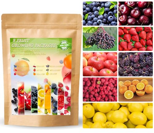 1200+ Mix Fruit Seeds Berry Seeds for Planting (9 Varieties) Heirloom Strawberry Raspberry Mulberry Apple Orange Blueberry Lemon Elderberry Cherry Seed for Home Garden