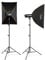 Walimex Pro Stager 600 HSS Set Double - leistungsstarker Studioblitz mit 2,4 GHz Empfänger, HSS-Modus, 600 Ws, Kurze Abbrennzeit, LED-Einstelllicht, für Profifotografen