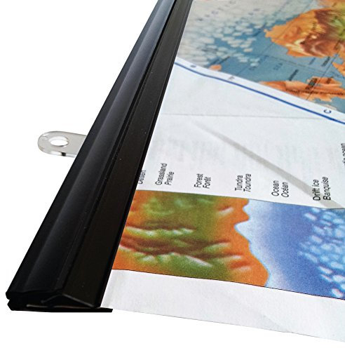 goKelvin 48 Hanging Rails for Posters, Signs, and Maps (Black)