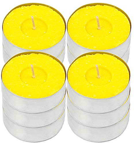 H Hansel Home 12 Teelichter Stück duftenden, Duftteelichter Duft Citronella, 10 Stunden Verbrennung