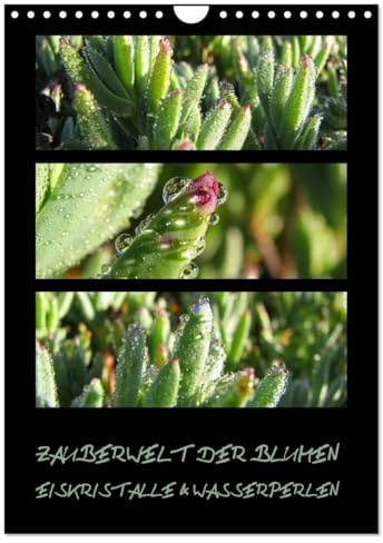 ZAUBERWELT DER BLUMEN - EISKRISTALLE & WASSERPERLEN (Wandkalender 2026 DIN A4 hoch), CALVENDO Monatskalender: Makroaufnahmen exotischer Pflanzen mit Eiskristallen und Wasserperlen (CALVENDO Natur)