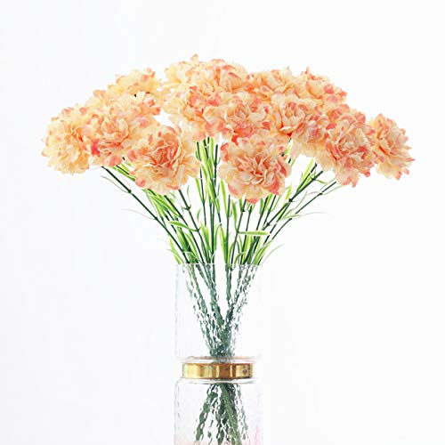 Blumensträuße, 50.8 cm, 10 Stiele, Regenbogen-Nelken, für den Außenbereich, UV-beständig, künstliche Blumen für immer als Foto-Requisiten, Heim-Party und Hochzeitsdekoration (Champagner)