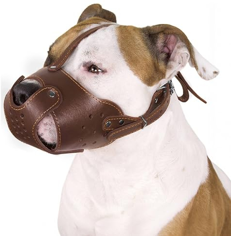 CollarDirect Hunde-Maulkorb Pitbull Amstaff aus echtem Leder, Staffordshire Terrier (Schokobraun)