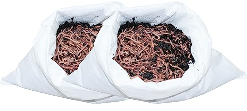 SUPERWURM 2 kg Gartenwürmer - für 200 m² Fläche - Bodenverbesserer - Die einfachste und natürlichste Methode Ihren Gartenboden auf zu lockern und zu durchlüften - Lehmboden auflockern