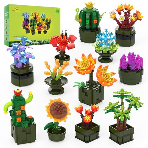JMBricklayer Kit di Piante Grasse per Adulti 10001 Confezione da 12 Piante Piccole Collezione Botanica Espositore per Decorazione della Stanza Blocchi di Fiori Bonsai Regali per Donne Ragazze