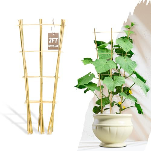 Avalution 10 Pack Bambus Rankgitter für Kletterpflanzen, 90 cm, Gartenleiter, Rankhilfe für Topfpflanzen im Innenbereich, fächerförmige kleine Pflanzenstütze, Rankgitter für Zimmerpflanzen, Efeu,