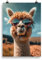 Coole Tiere Poster - Alpaka mit Sonnenbrille, Geschenk für Tier-Fans und Tier-Liebhaber, Witzig, Ungerahmt