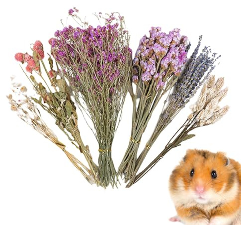 Pasbuteiy Hamster Heublumens Einstreu, Trockenblumen Hamster Einstreu, Natürlich Getrockneteblumen Und Pflanzen, Dekoration Für Kleintiergehege, Für Kaninchen, Igel, Hochzeiten, Camping
