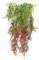 HUAESIN 2 Pcs Künstliche Hängepflanzen Vine Kunstpflanze Farn Hängende Pflanzen Lang Plastikpflanzen Hängend für Hochzeit Außen Innen Balkon Wand Topf Garten Party Dekoration 83cm