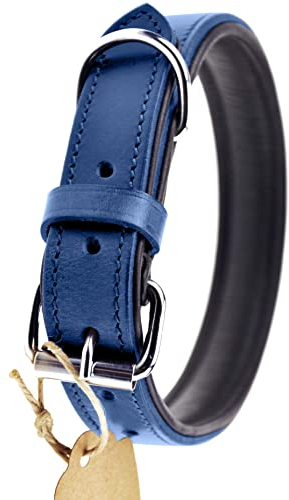 Schnüffelfreunde Halsband für Hunde aus Leder, Hundehalsband für den großen, mittleren und kleinen Hund, Lederhalsband gepolstert, robust (L - 36-45cm, Blau)