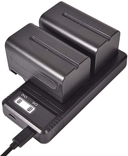 DSTE Lot de 2 Batteries de Rechange NP-F750 + Chargeur Double LCD Compatible avec Sony NP-F730 NP-F770 CCD-SC5 CCD-TRV80PK DCR-TRV820 CCD-SC55 CCD-TRV81 DCR-TRV820K CCD-SC65