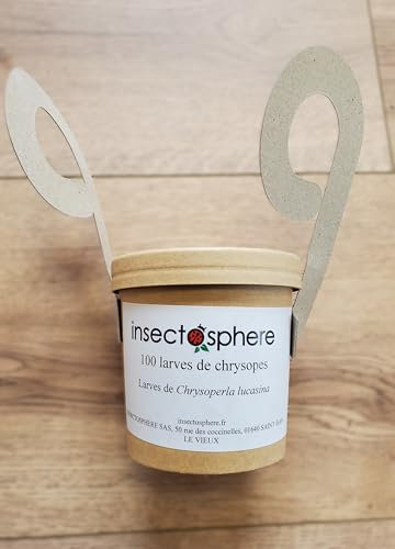 100 Larves de Chrysopes – Lutte Biologique Anti-Pucerons, Thrips, Cochenilles, Araignées rouges – Insectes Auxiliaires Naturels pour Jardin, Potager, Serre et Plantes d’Intérieur – Sans Insecticide