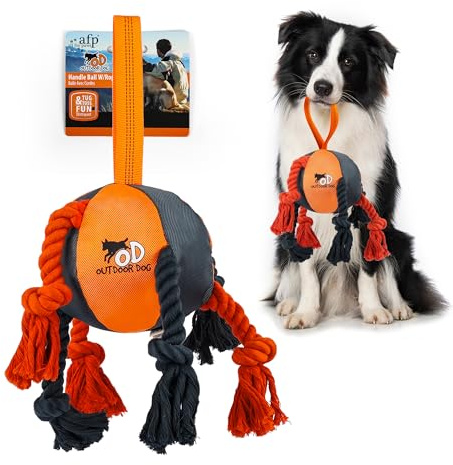 ALL FOR PAWS Hunde-Ballspielzeug 35cm - Langlebiges Zerr-, Apportier- und Kau-Spielzeug (Nicht für Aggressive Kauer) mit Seil für Hunde mittlerer Rassen