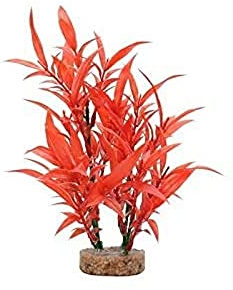 Fluval Plant Hygrophila Red, Aquarium Decoration 20 cm