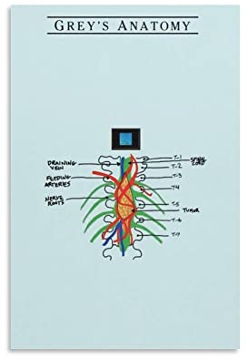 Greys Anatomy Poster Dekorative Malerei Leinwand Wandposter und Kunstbild Druck Moderne Familie Schlafzimmer Dekor Poster 30 x 45 cm Grau Anatomie Poster Grau Anatomie Leinwand Kunst Poster Bild