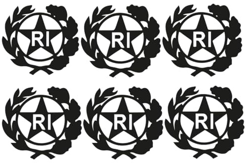 Reccisokz 6 PCS Bollino Adesivo per Targa Auto e Moto con Stemma Logo RI in PVC Resistente e Impermeabile Facile da Applicare Ideale per Restauri (13x13 mm)