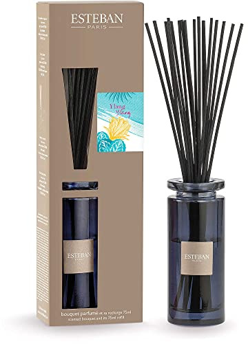 Esteban Bouquet Initial Ylang Ylang mit Nachfüllpackung, 75 ml