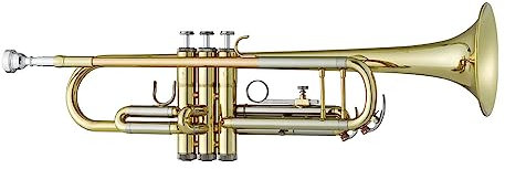 Antigua Vosi TR2566LQ Trompete mit Koffer in Bb-Lackierung