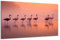 DARO Design - Wand-Bild auf 6mm HDF 70x50 cm Flamingo im Nebel - Wand-Deko Bilder Geschenk