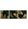 STYLER Leinwandbilder Set Green & Gold 3x 32x32 cm (AUFHÄNGFERTIG) - Elegante Naturmotive in Schwarz, Grün und Gold - Quadratisch
