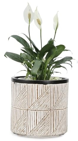 VOSSMOON Plant Pots Outdoor Garden Round Flowerpots Indoor, 32cm Large Concrete Planter for Big Olive Trees, Plant Containers with Drainage Holes, Grey