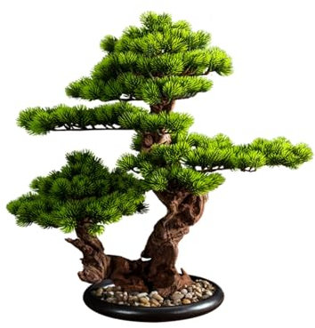 DFGHNBVC Desktop Veranda Bonsai Dekoration Simulation Willkommen Kiefer Gefälschte Baum Anti Echte Anlage Halle Dekoration Schrank Topf，D-M