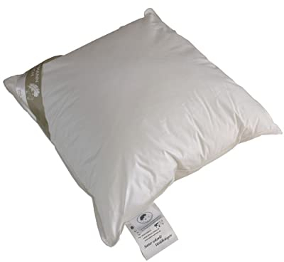 Betten Hofmann Franken Kissen Kopfkissen Federkissen 65x65 cm, 15% Daunen 700 g Füllgewicht, waschbar, Naturprodukt