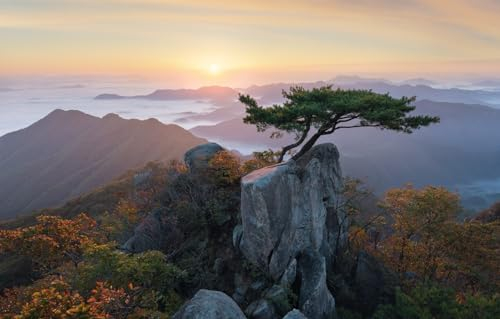 GUOHLOZ Puzzle 1000 Teile Classic Puzzle DIY Kit HolzUnique Gift Home Decor, Landschaft, Berge, Baum, Korea, Bonsai, 75x50cm