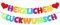 VINFUTUR Herzlichen Glückwunsch Girlande Gratulation Banner Bunt Filz Hängende Deko für Abitur Abschluss Graduation Geburtstag Hochzeit Jubiläum Ruhestand