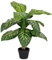 Baroni Home Plante Artificielle d’Intérieur et d’Extérieur, Plante Banane Dieffenbachia Imitation Décorative pour la Maison, Plante Artificielle de Salon, Chambre, Cuisine, Jardin, Hauteur 80 cm