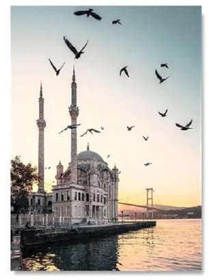 ABCWARRT Hotel Decor Istanbul Türkiye Maiden Tower Leinwand Moschee Meer Sonnenaufgang Landschaft Möwe Poster Wohnzimmer Schlafzimmer Dekoration (30 * 40cm Kein Rahmen,1)