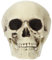 Folat 23916 Halloween Deko - Dekoration - Totenkopf - Halloween - 14 x 17 x 19 cm - Gruseliges Horror Decoration Für Halloween-Dekorationen Spukhaus & Halloween Party