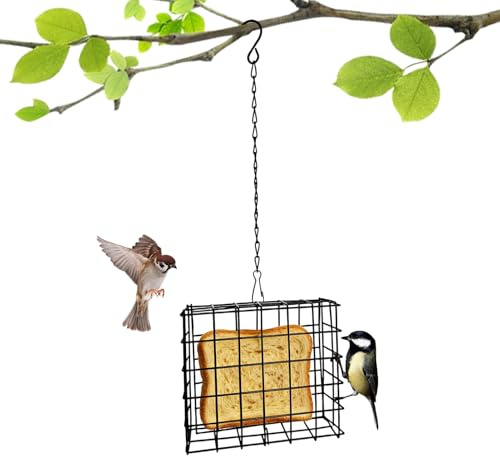 Kustimantu Vogelkäfig – Beobachtungsstation gegen Eichhörnchen für den Garten | Futterstelle mit Fett für Vögel, für Garten, Hof, Terrasse, Außenbereich, und Spikes