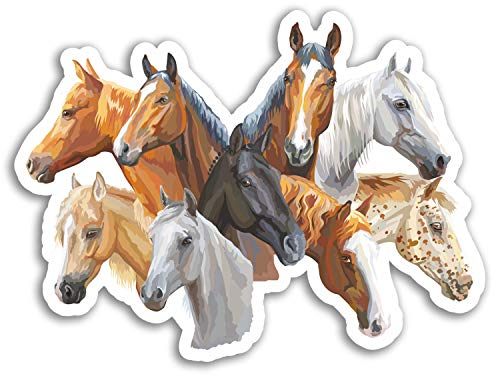 2 x 10cm Pferdeköpfe Vinyl Aufkleber - Pony Pferde Aufkleber Laptop Gepäck # 17303 (10 cm breit)