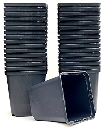 spiceboxx 100x 9x9x9,5cm Profi Anzuchttöpfe eckig Vierecktopf Pflanztöpfe Blumentöpfe klein Anzucht Vierkanttöpfe Tomatentopf Rosentopf Kunststoff Blumentopf Plastik schwarz